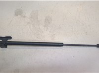  Амортизатор капота Nissan Pathfinder 1996-2005 20254219 #1