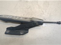  Петля капота BMW 5 E60 2003-2009 20254849 #1