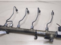  Рампа (рейка) топливная Mercedes C W204 2007-2013 20254901 #1