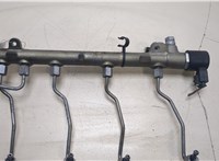  Рампа (рейка) топливная Mercedes C W204 2007-2013 20254901 #6