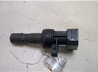  Катушка зажигания Jaguar XJ 2003–2008 20254987 #1