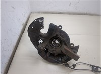  Ступица (кулак, цапфа) Lexus RX 1998-2003 20255838 #5