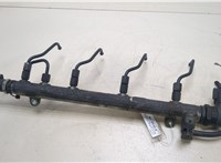  Рампа (рейка) топливная Mercedes C W203 2000-2007 20256506 #1