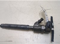  Форсунка топливная Mercedes C W203 2000-2007 20256509 #1