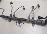  Рампа (рейка) топливная Hyundai Santa Fe 2012-2016 20256896 #1