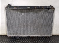  Радиатор охлаждения двигателя Lexus RX 1998-2003 20257143 #1