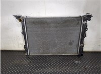  Радиатор охлаждения двигателя Hyundai Genesis 2008-2013 20257168 #1