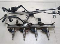  Форсунка топливная Volkswagen Passat 6 2005-2010 20257873 #1