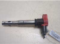  Катушка зажигания Volkswagen Passat 6 2005-2010 20257878 #1