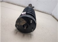 4782732AD, 4895627AB Амортизатор подвески Chrysler 300C 2004-2011 20258203 #6