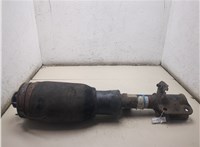 RNB501430, 7H423C156DC Амортизатор подвески Land Rover Range Rover 3 (LM) 2002-2012 20258303 #2