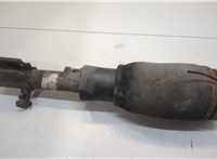  Амортизатор подвески Land Rover Range Rover 3 (LM) 2002-2012 20258303 #1