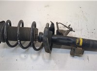  Амортизатор подвески Ford Focus 2 2008-2011 20258389 #1