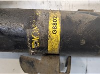  Амортизатор подвески Ford Focus 2 2008-2011 20258389 #3
