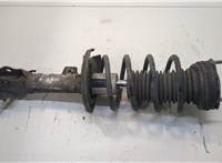  Амортизатор подвески Ford Fiesta 2008-2013 20258534 #1