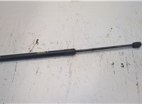  Амортизатор капота Audi Q7 2006-2009 20258619 #1