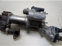  Клапан рециркуляции газов (EGR) Renault Megane 2 2002-2009 20258731 #1