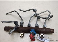  Рампа (рейка) топливная Renault Megane 2 2002-2009 20258736 #1
