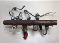  Рампа (рейка) топливная Renault Megane 2 2002-2009 20258736 #3