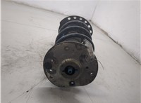 LR024442, BJ3218045AD, BJ325310BD, LR024490 Амортизатор подвески Land Rover Range Rover Evoque 2011-2018 20259345 #5