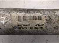  Амортизатор подвески BMW 7 E65 2001-2008 20259431 #2