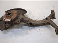  Ступица (кулак, цапфа) Volkswagen Passat 5 2000-2005 20259462 #1