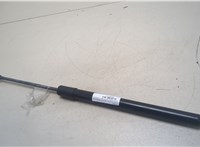  Амортизатор крышки багажника Volkswagen Golf 7 2017-2019 20259761 #1