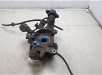  Ступица (кулак, цапфа) Mitsubishi Pajero / Montero 2000-2006 20259794 #3
