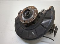 Ступица (кулак, цапфа) Volkswagen Tiguan 2011-2016 20259833 #1