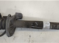 Амортизатор подвески BMW 7 E65 2001-2008 20259841 #3