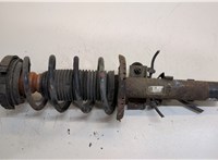  Амортизатор подвески Skoda Roomster 2006-2010 20259966 #1
