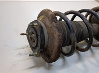  Амортизатор подвески Ford Focus 1 1998-2004 20260017 #2