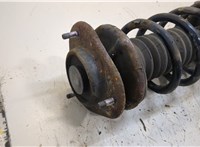  Амортизатор подвески Daihatsu Terios 2 20260276 #3