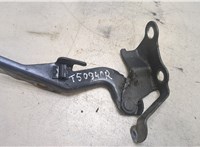  Петля капота Toyota Corolla E12 2001-2006 20260619 #1