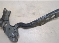  Петля капота Citroen C4 2010-2015 20260629 #3