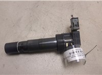  Катушка зажигания Hyundai Sonata NF 2005-2010 20260839 #1