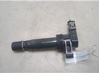  Катушка зажигания Hyundai Sonata NF 2005-2010 20260841 #1