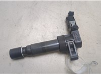 Катушка зажигания Hyundai Sonata NF 2005-2010 20260842 #1