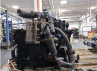 1010200Q1K Блок цилиндров (Шорт блок) Nissan X-Trail (T31) 2007-2015 20261366 #4