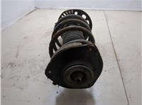  Амортизатор подвески Volkswagen Jetta 5 2004-2010 20262289 #2