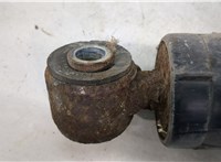  Амортизатор подвески Iveco Daily 3 2000-2005 20262712 #3