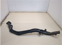  Горловина заливная топливная Hyundai Santa Fe 2000-2005 20263079 #1