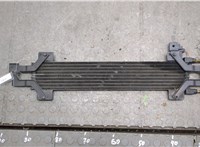  Радиатор АКПП Chrysler Pacifica 2003-2008 20263297 #1