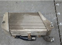  Радиатор интеркулера Audi A8 (D3) 2002-2005 20263326 #3