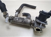  Клапан рециркуляции газов (EGR) Peugeot 407 20263993 #1