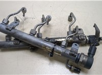 A6420702495 Рампа (рейка) топливная Mercedes S W221 2005-2013 20264044 #1