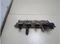  Форсунка топливная Volkswagen Golf 5 2003-2009 20264254 #1