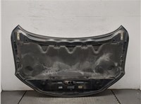  Обшивка капота Nissan Pathfinder 2012-2017 11335396 #6