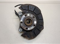  Ступица (кулак, цапфа) Volkswagen Passat 6 2005-2010 20265631 #1