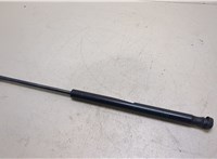  Амортизатор стекла багажника Ford Escape 2007-2012 20265782 #1